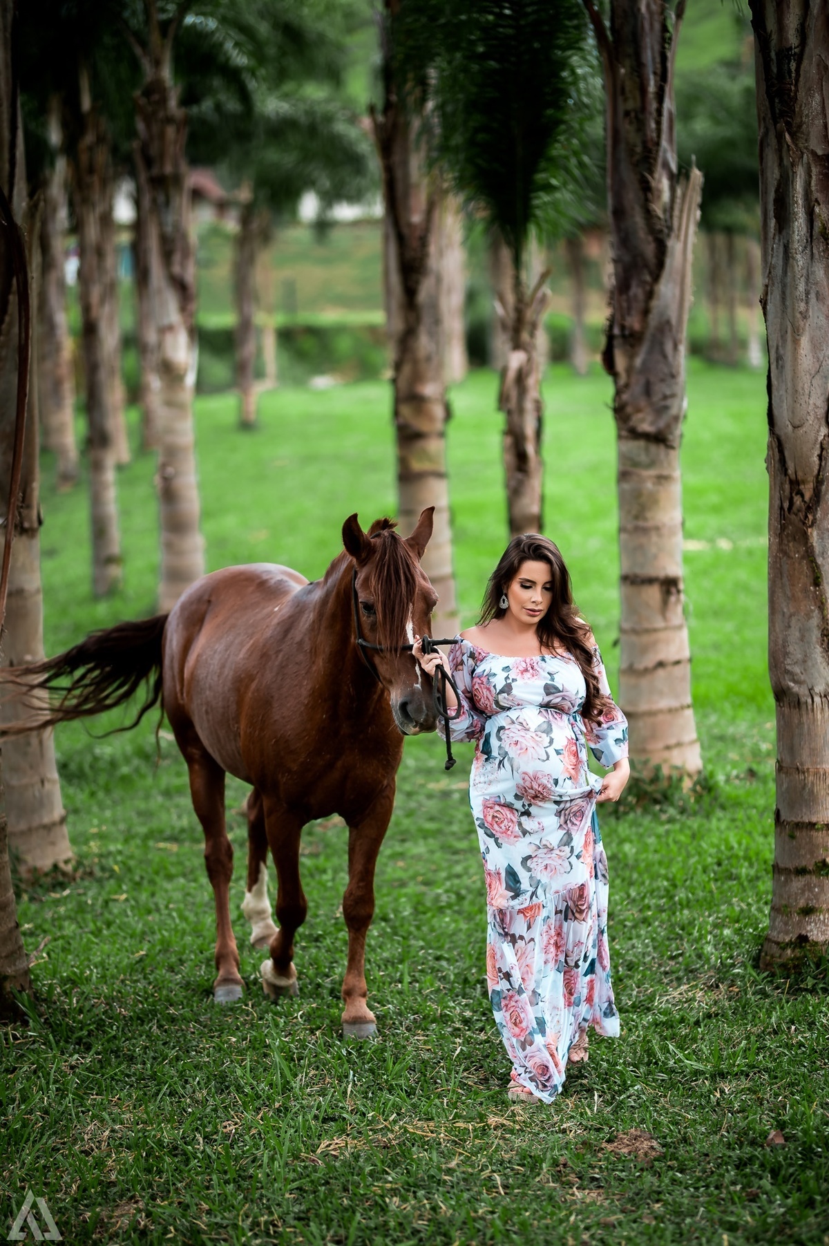 Alex Jardim Fotografia Fotógrafo Ensaio Gestante Grávida Lifestyle Sensual Resende Itatiaia Penedo Porto Real Quatis Barra Mansa Volta Redonda Sul Fluminense Serrinha do Alambari Angra dos Reis Paraty Visconde de Mauá Pousada Vale Encantado