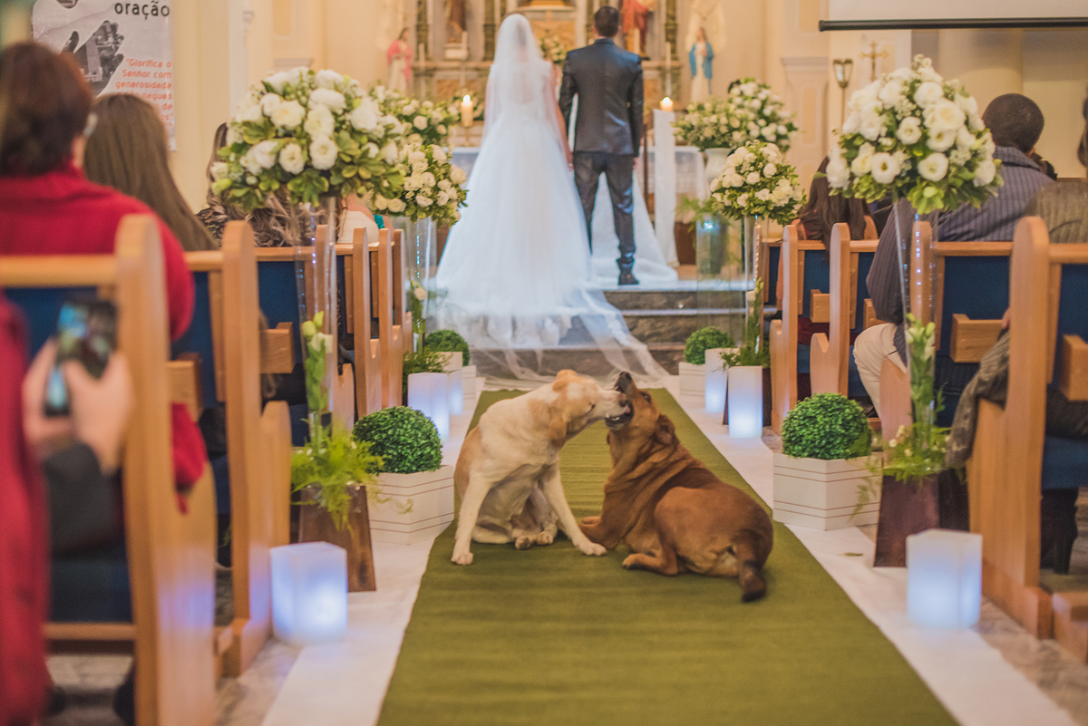cachorro igreja se beijando casamento em Jambeiro 