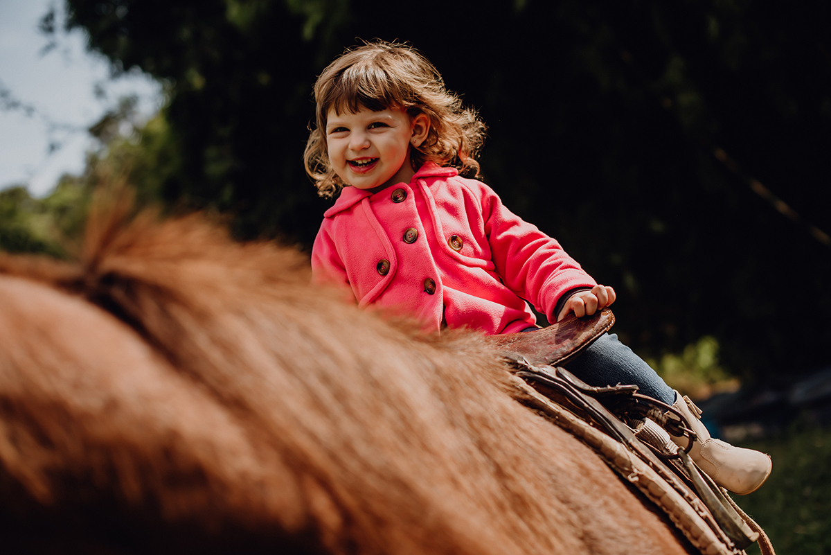 fotos diferentes com cavalos