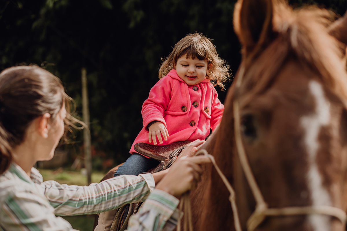 fotos dia a dia com cavalos