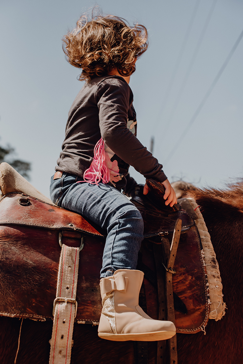 ensaio fotográfico com cavalos