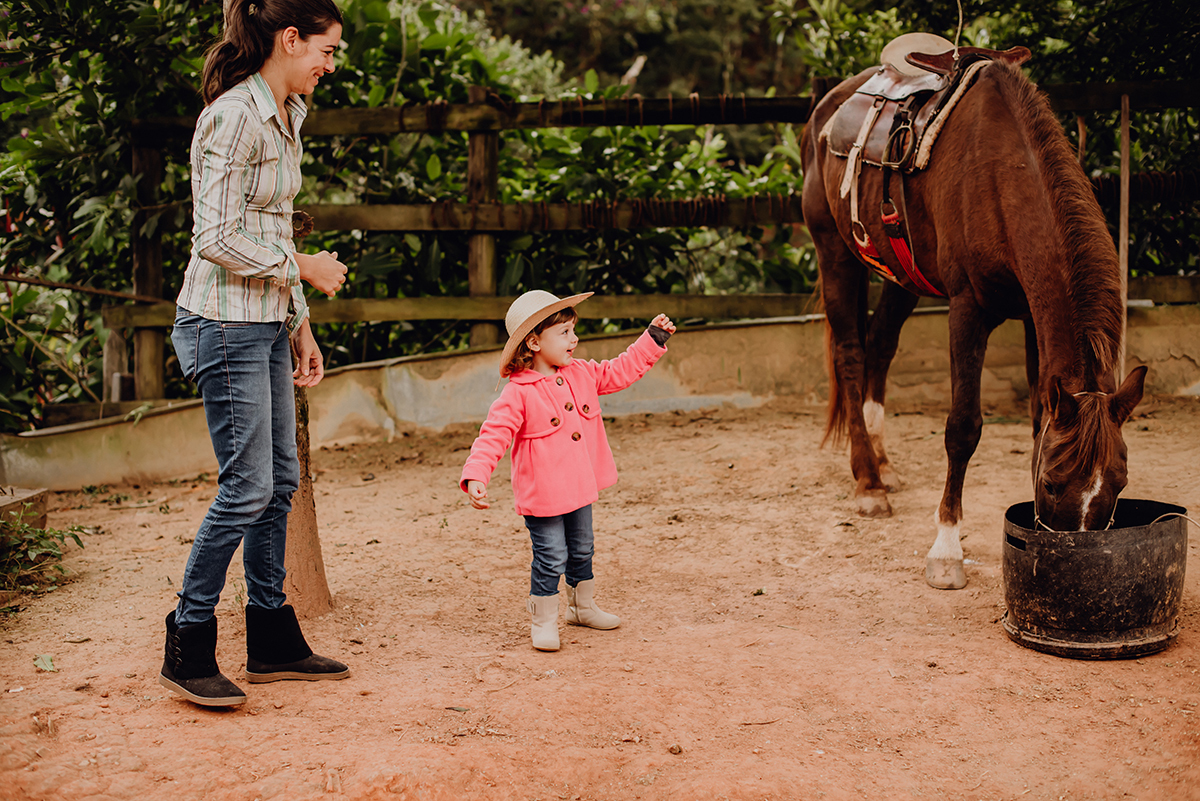 ensaio fotográfico com cavalos