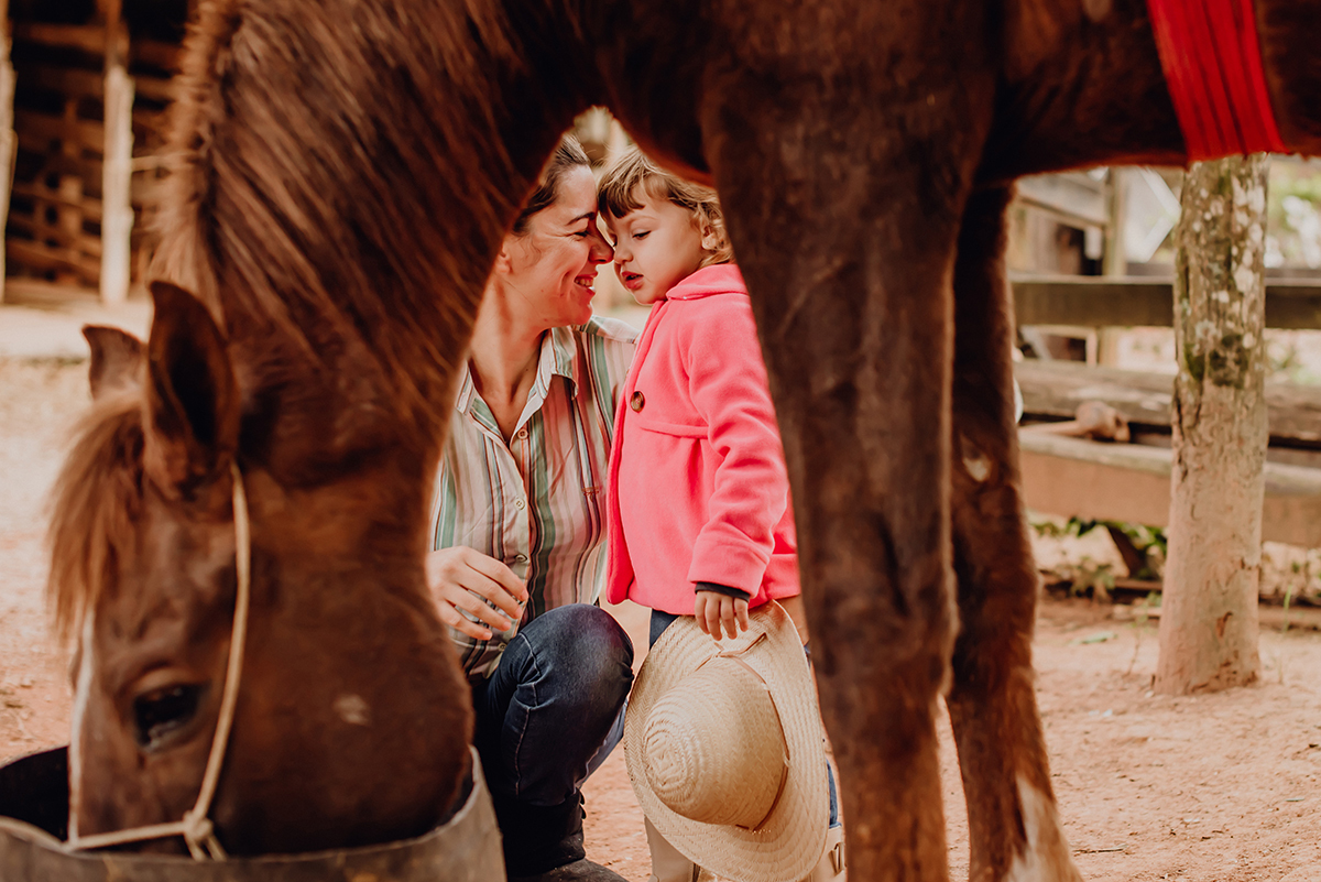 fotos de cavalos mãe e filha