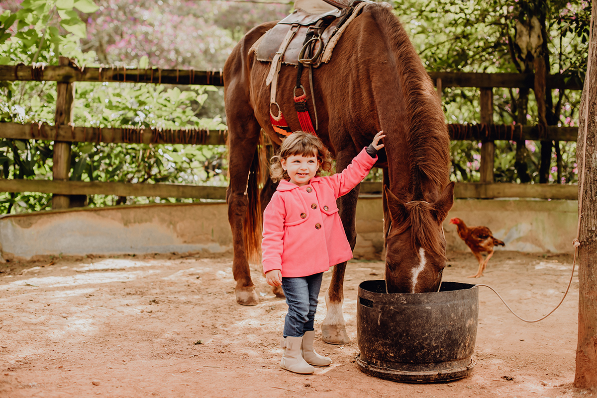fotos de cavalos com crianças