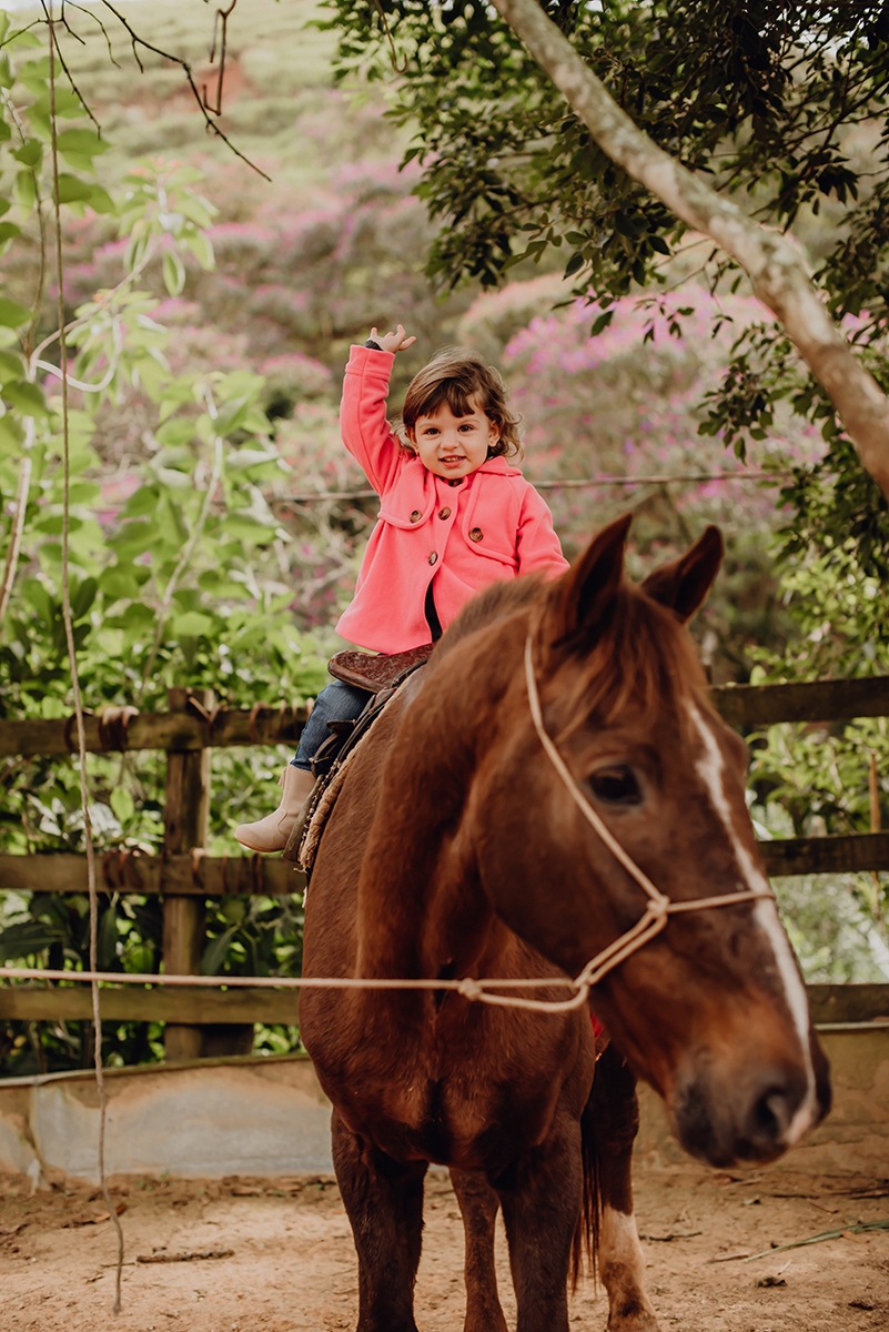ensaio fotográfico com cavalos