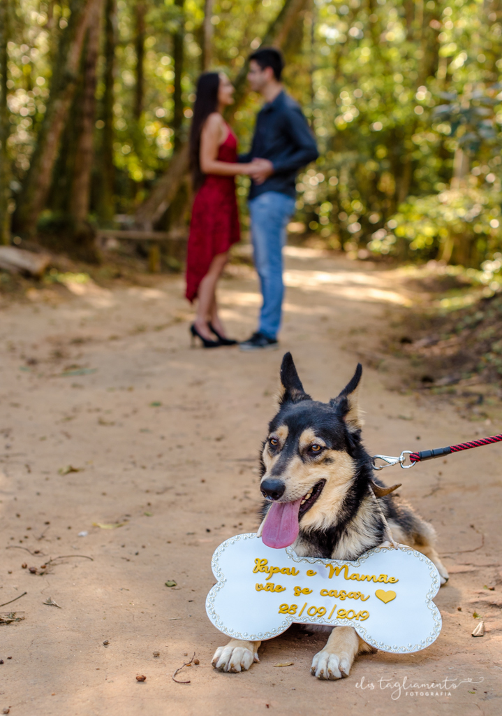 ensaio pré casamento com cachorro parque da cidade são josé dos campos