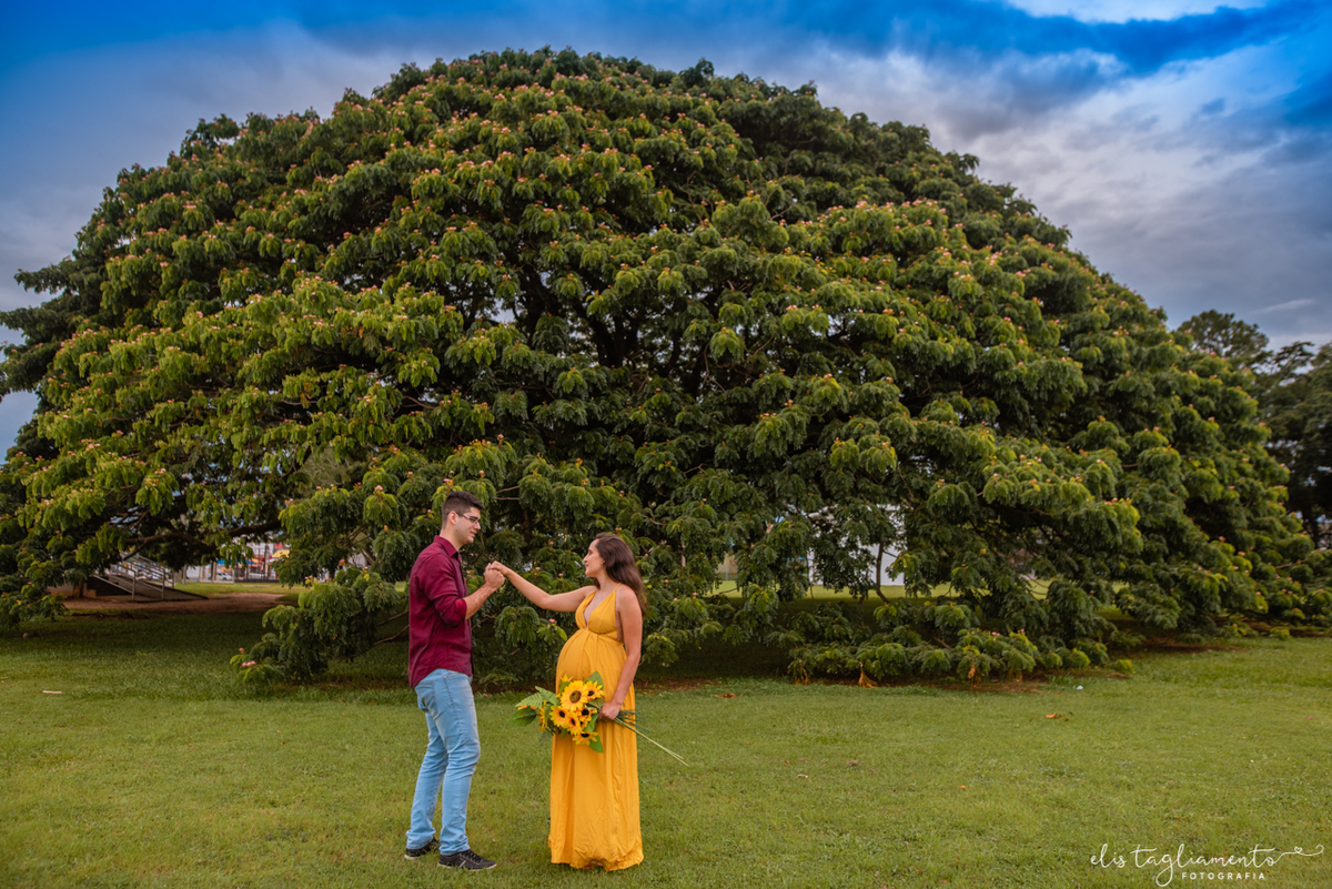 ensaio gestante parque da cidade são josé dos campos 