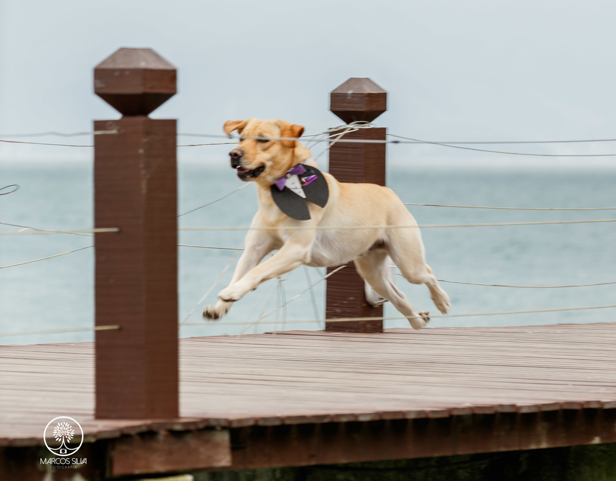Entrega das alianças 