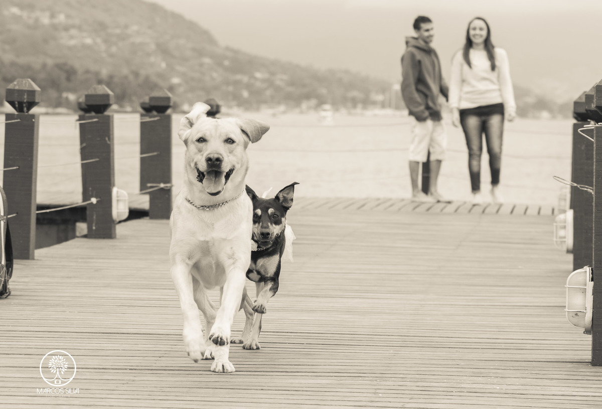 Essa dupla ai levou as alianças