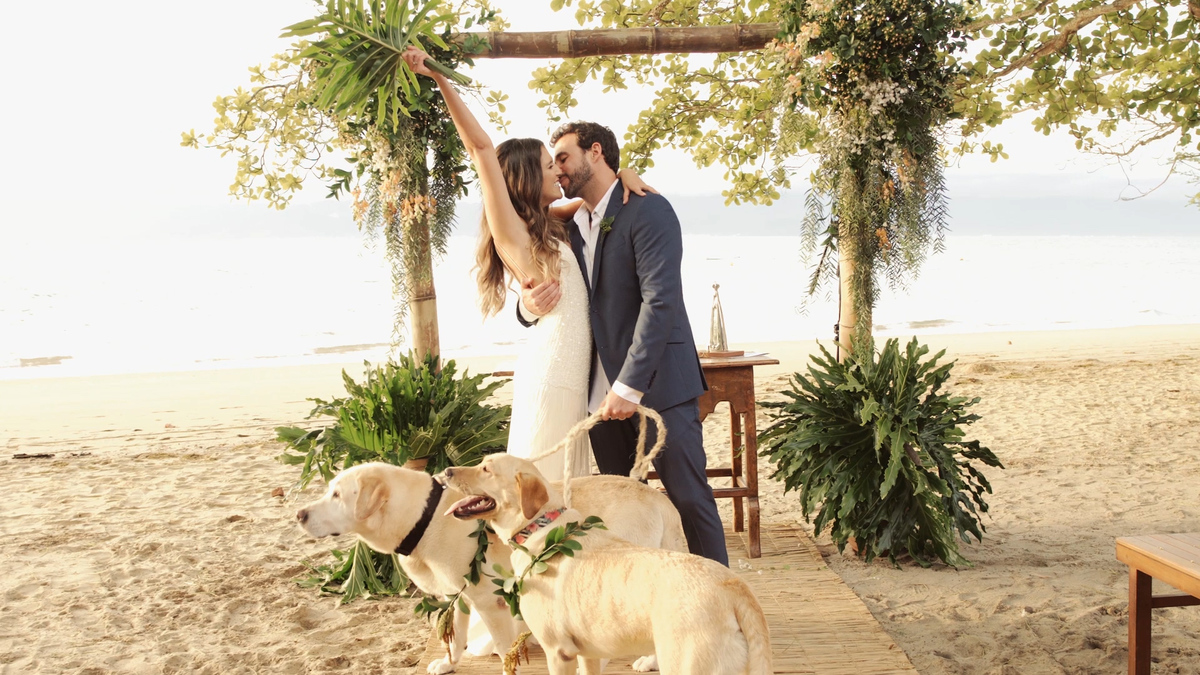 entrada de cachorros ilha bela