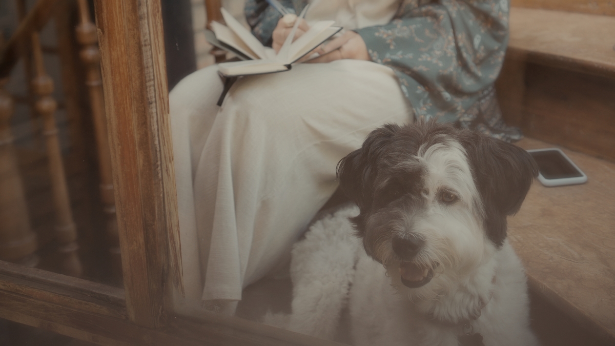 CAMENTONAFAZENDA, CASANDONOCAMPO, CASAMENTOAOARLIVRE, CASAMENTO, CASAMENTOADOIS, ELOPMENTWEDDING, VIDEODECASAMENTO, FILMEDECASAMENTO, CASAMENTOFAZENDA, CASANDONAFAZENDA, CASANDODEDIA, CASAMENTODEDIA, CASANDONOVERDE, CASAMENTOFLORESTA, CASAMENTONAFLORESTA