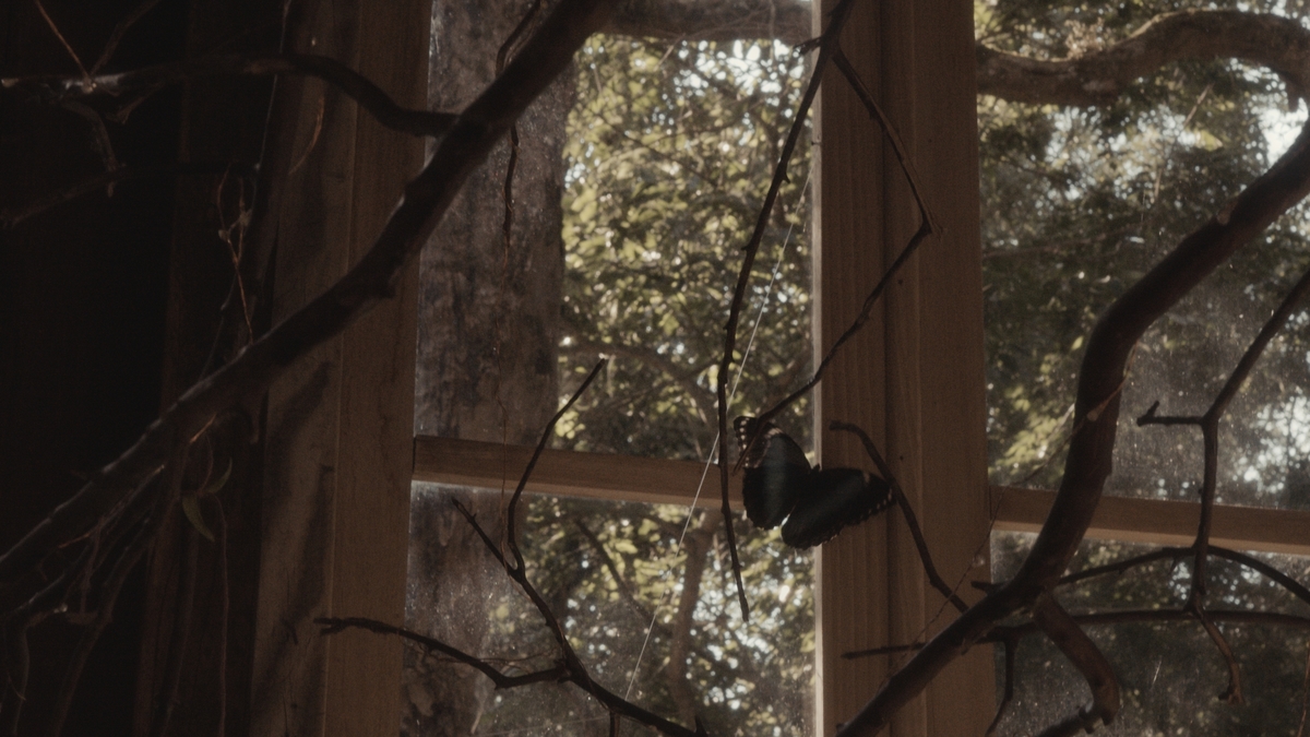 CAMENTONAFAZENDA, CASANDONOCAMPO, CASAMENTOAOARLIVRE, CASAMENTO, CASAMENTOADOIS, ELOPMENTWEDDING, VIDEODECASAMENTO, FILMEDECASAMENTO, CASAMENTOFAZENDA, CASANDONAFAZENDA, CASANDODEDIA, CASAMENTODEDIA, CASANDONOVERDE, CASAMENTOFLORESTA, CASAMENTONAFLORESTA