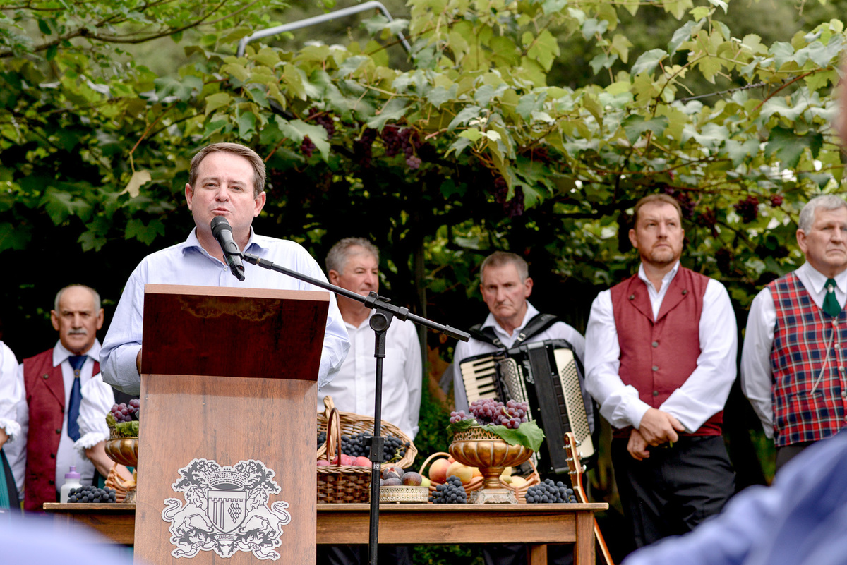 vindima, adiló didomenico, randolfe vieira júnior, merceretto, caxias do sul, bispo