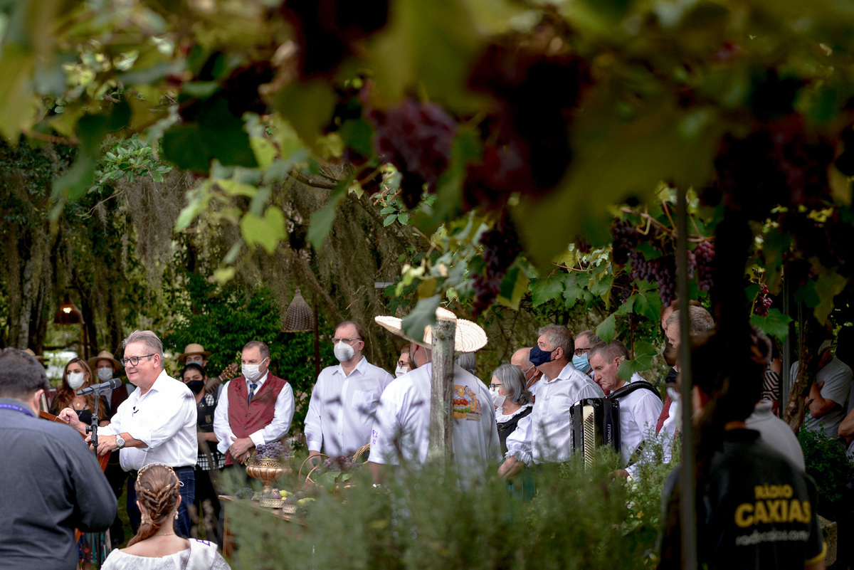 vindima, adiló didomenico, randolfe vieira júnior, merceretto, caxias do sul, bispo