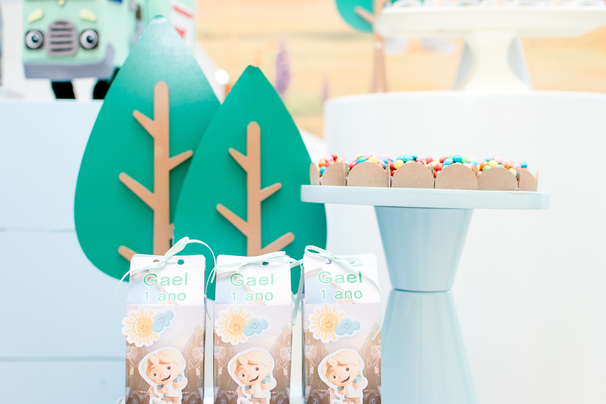 Aniversário infantil; fotógrafo festa infantil; Diego Fotografias; 