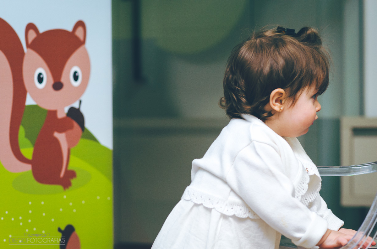 um ano festa infantil