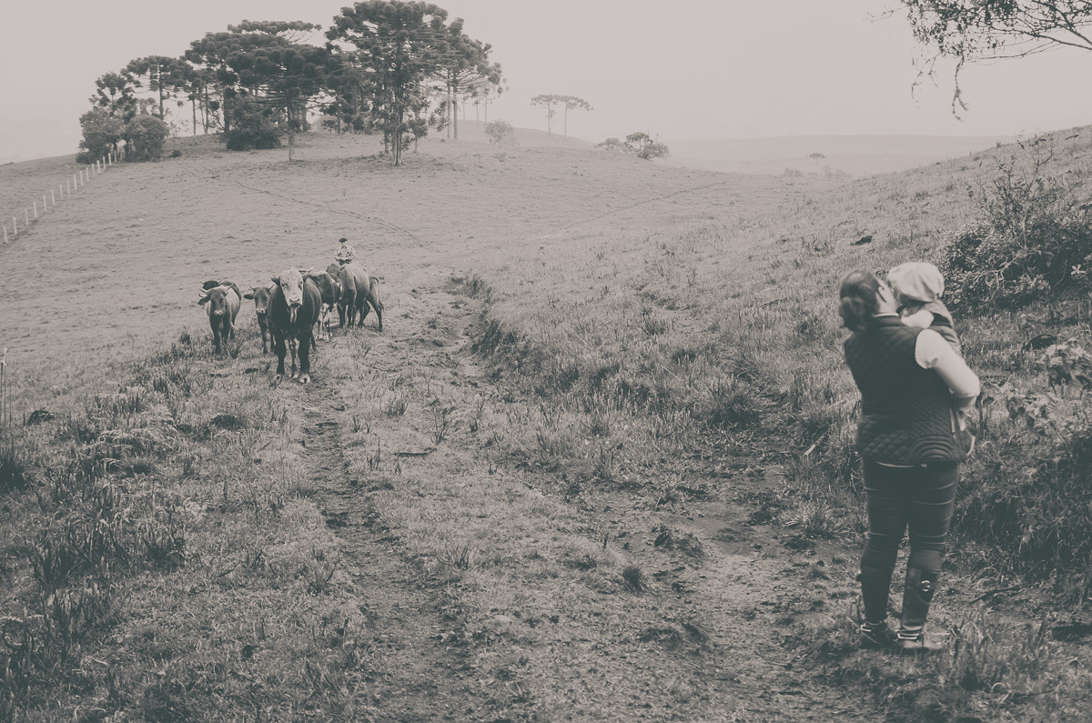 família no campo RS tradicionalismo pb