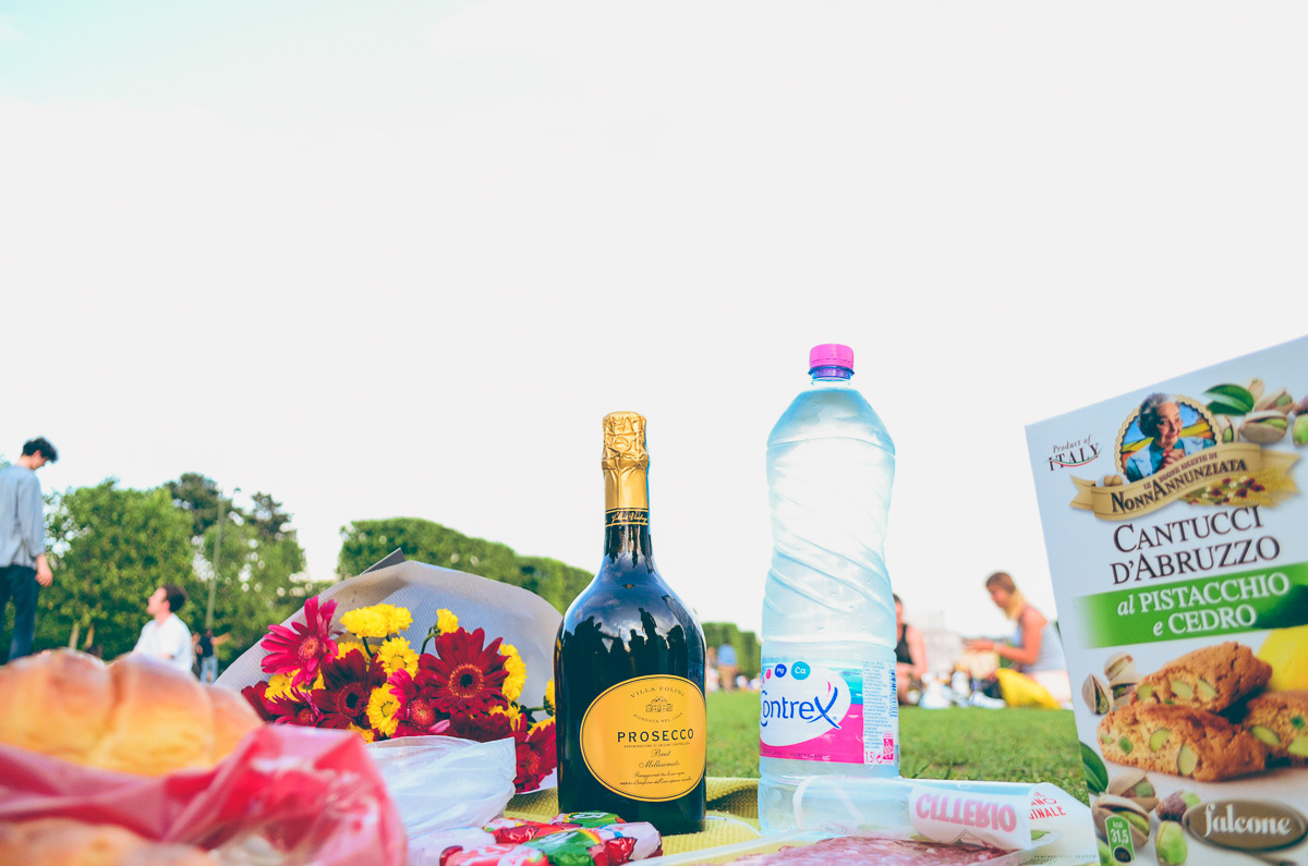 fotógrafo caxias do Sul, diego fotografias, diego photografias, frança, paris, casal, honeymoon, lua de mel, piquenique