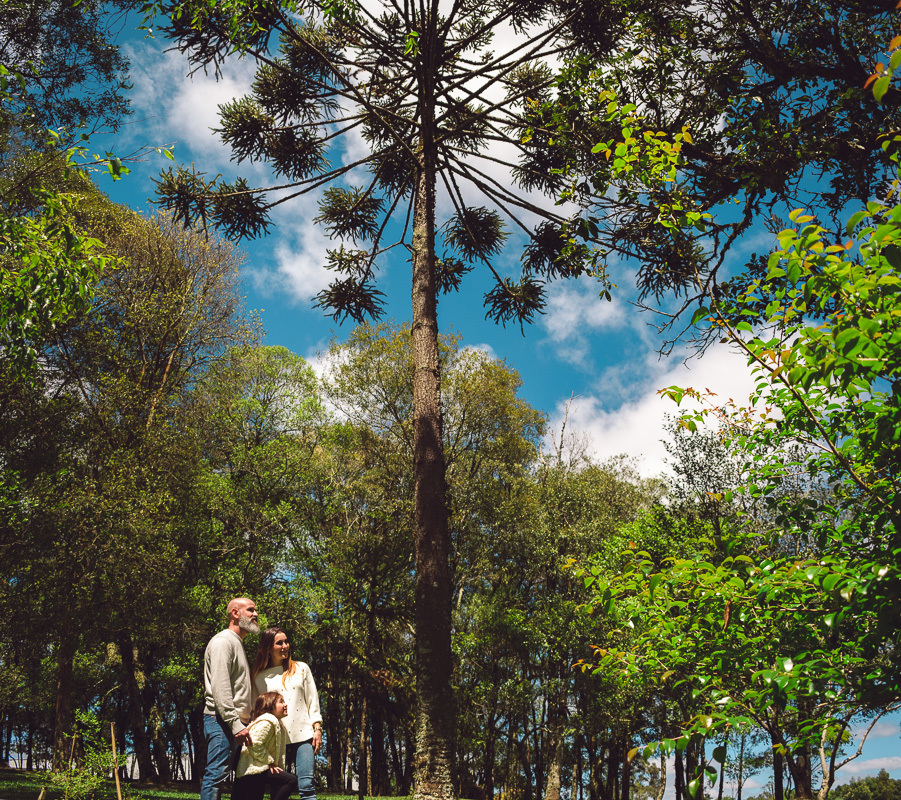 pinheiro ensaio de família, natureza, fotógrafo de família, melhor fotógrafo de família