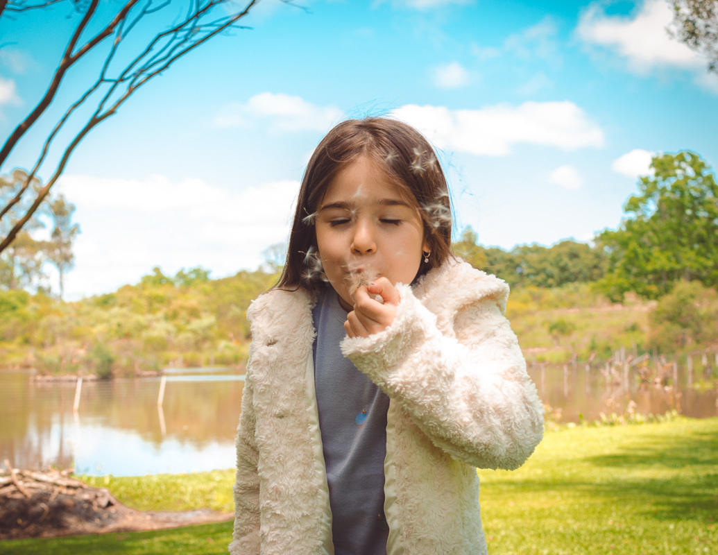 dente de leão criança assoprando, fotógrafo de família, melhor fotógrafo de família