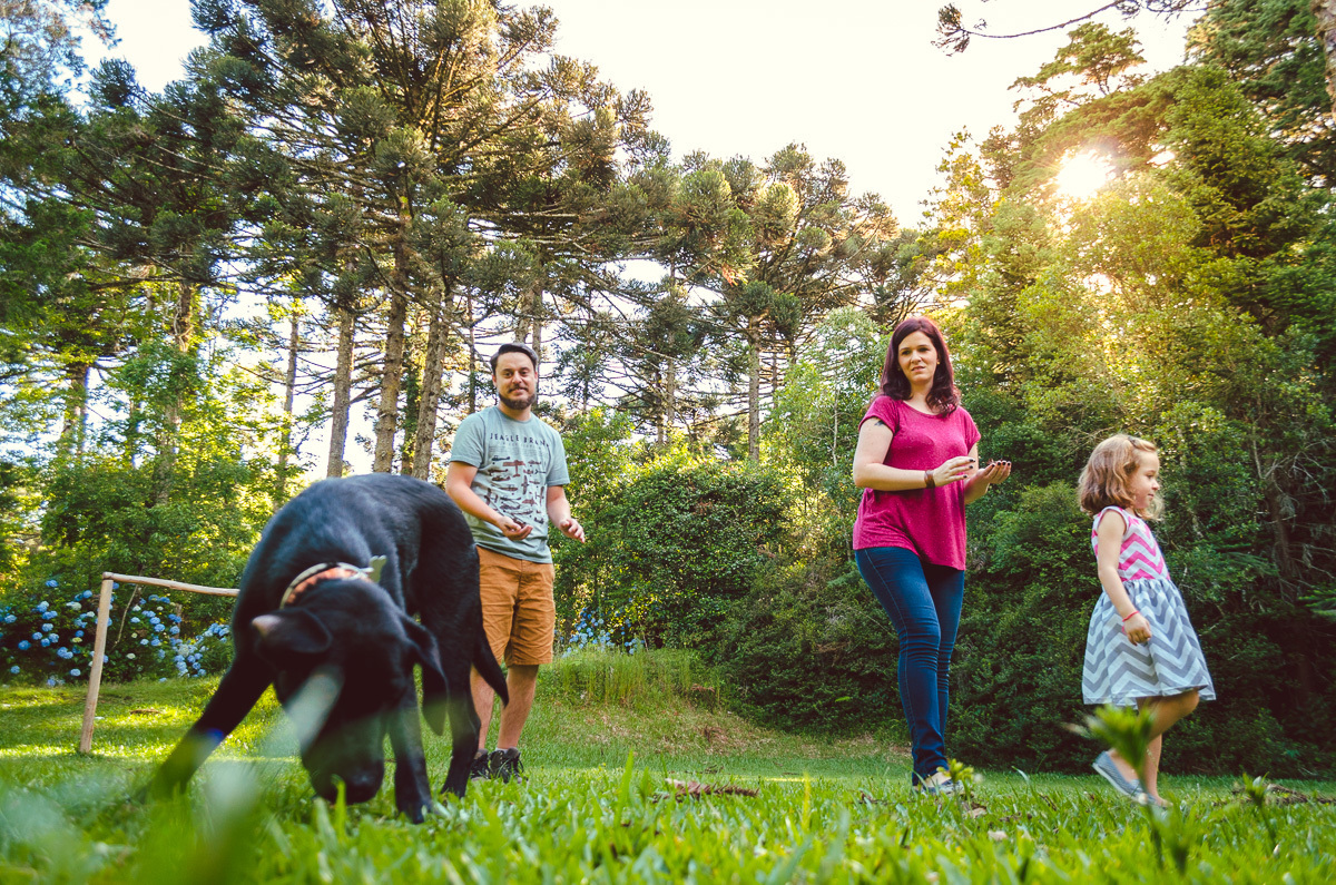 cão gui helen keller família caxias do sul Diego Fotografias