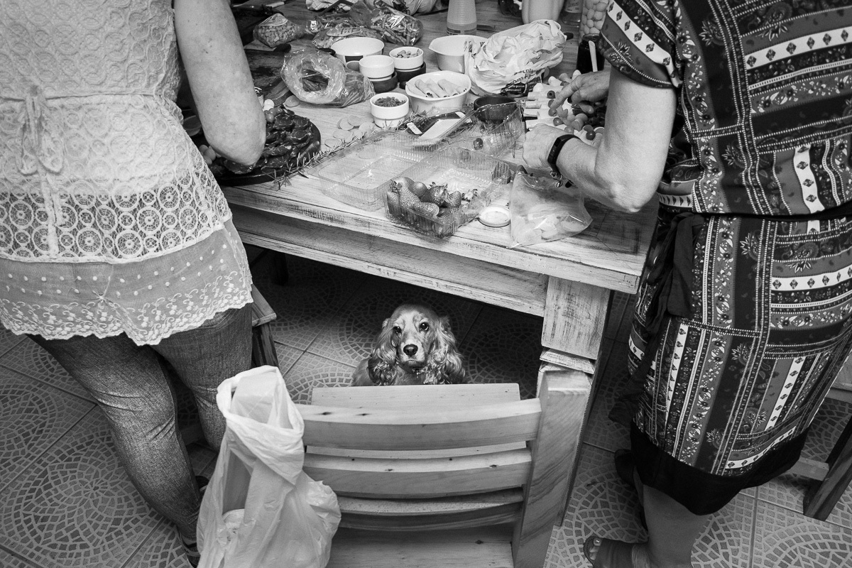 casamento diurno, casamento no campo, boho, boho chique, casamento, wedding