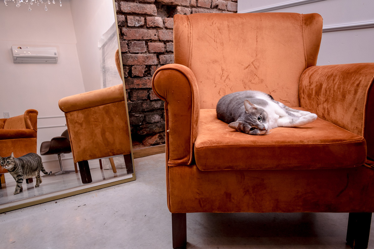 making of, maquiagem, salão de beleza, formatura, dia da formanda, medicina, caxias do sul