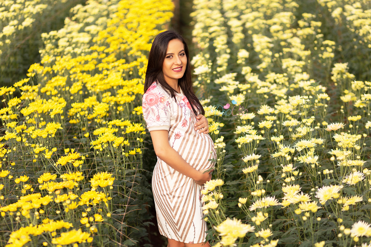 Ensaio Gestante em Holambra