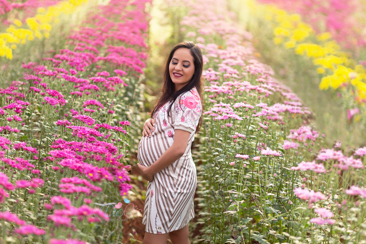 Ensaio Gestante em Holambra