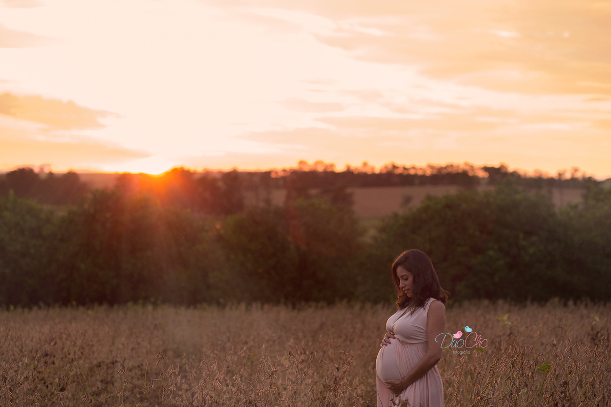 Ensaio Gestante no nascer do sol
Ensaio Gestante no trigo
  