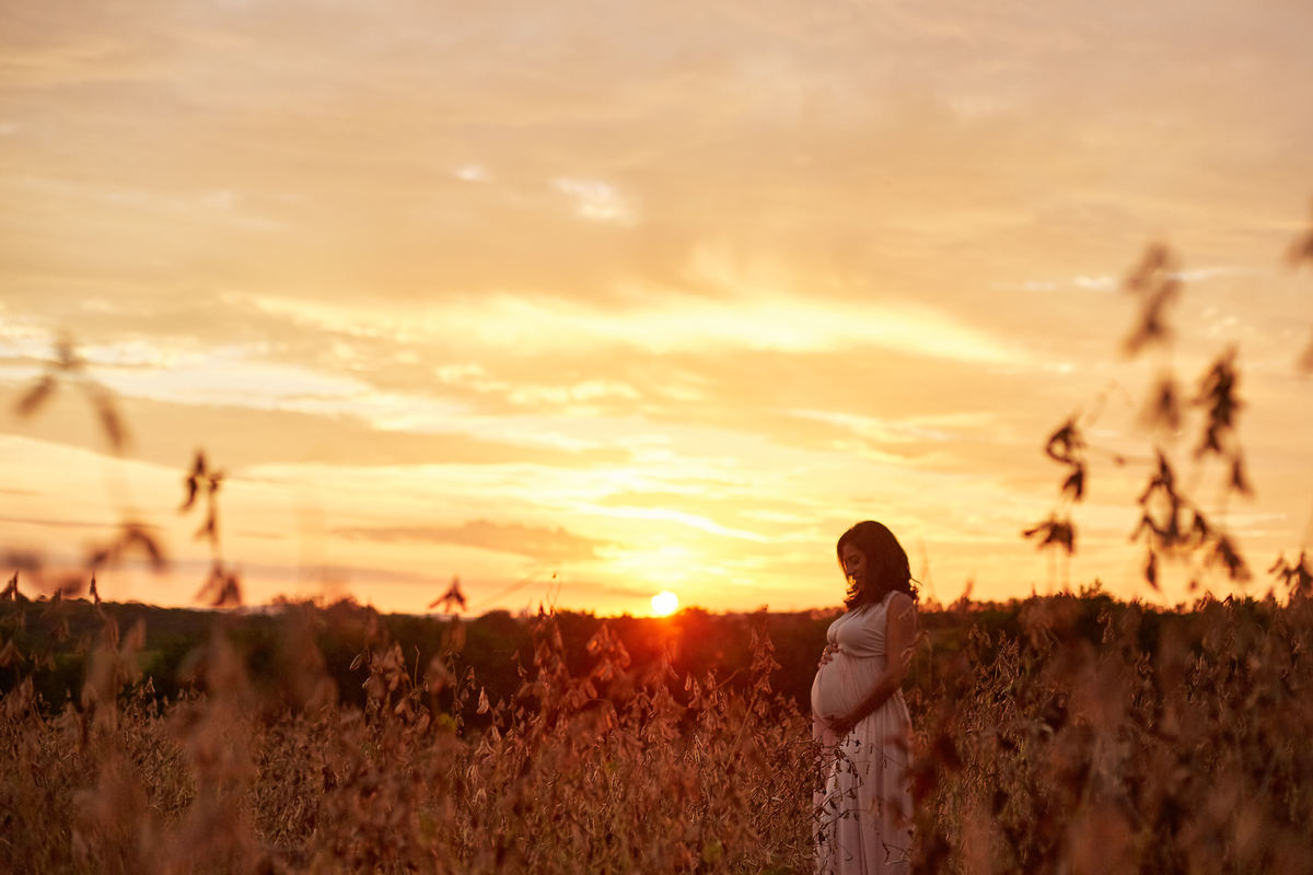 Ensaio Gestante no nascer do sol
Ensaio Gestante no trigo