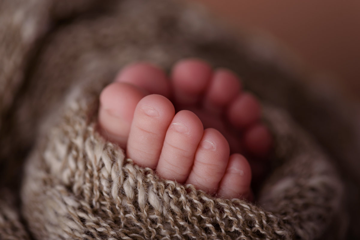 AURORA - Newborn - 11 dias - Ponta Grossa/PR