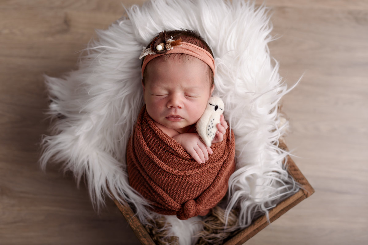 AURORA - Newborn - 11 dias - Ponta Grossa/PR