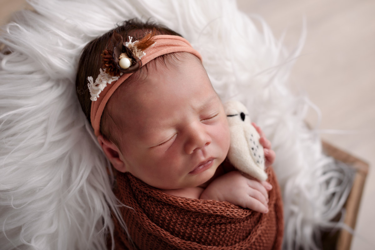 AURORA - Newborn - 11 dias - Ponta Grossa/PR