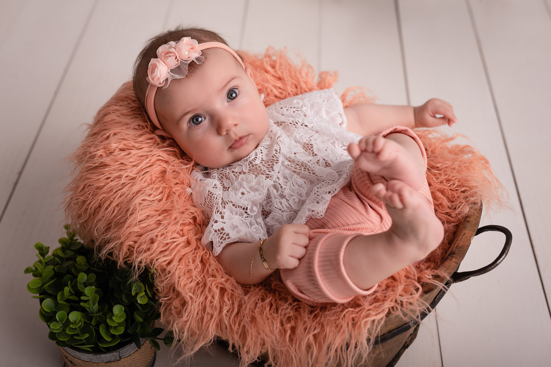 Gabriela - 3 meses - Ponta Grossa/PR