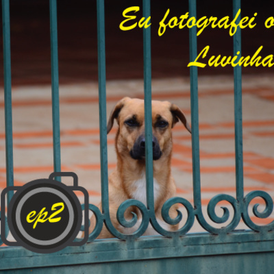 Imagem capa - Inspirado 83 Podcast #2 - Eu fotografei o Luvinha! por Gilberto Caldeira