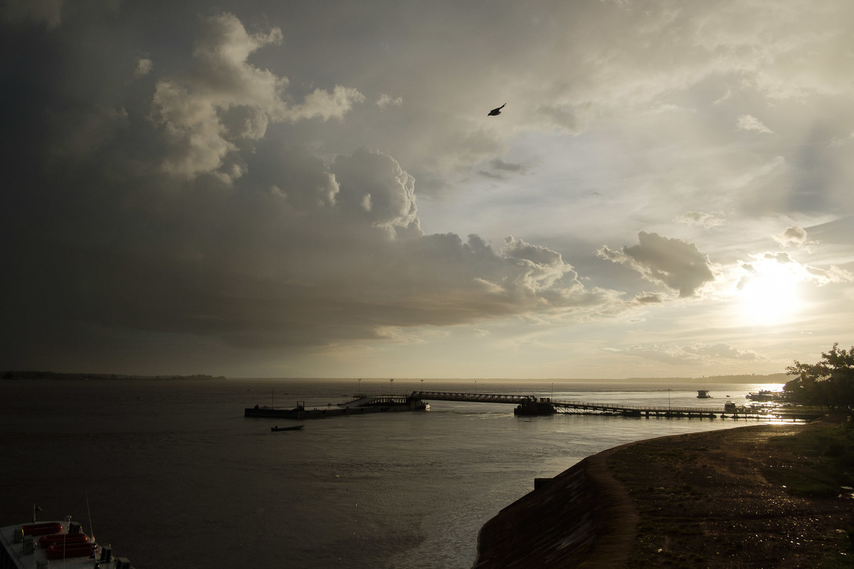 Imagem capa - O Amazonas por Manu Rigoni