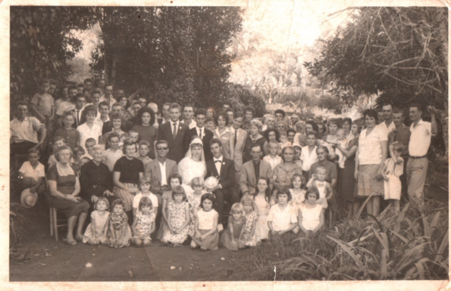 Imagem capa - A fotografia e os álbuns de família  por Manu Rigoni
