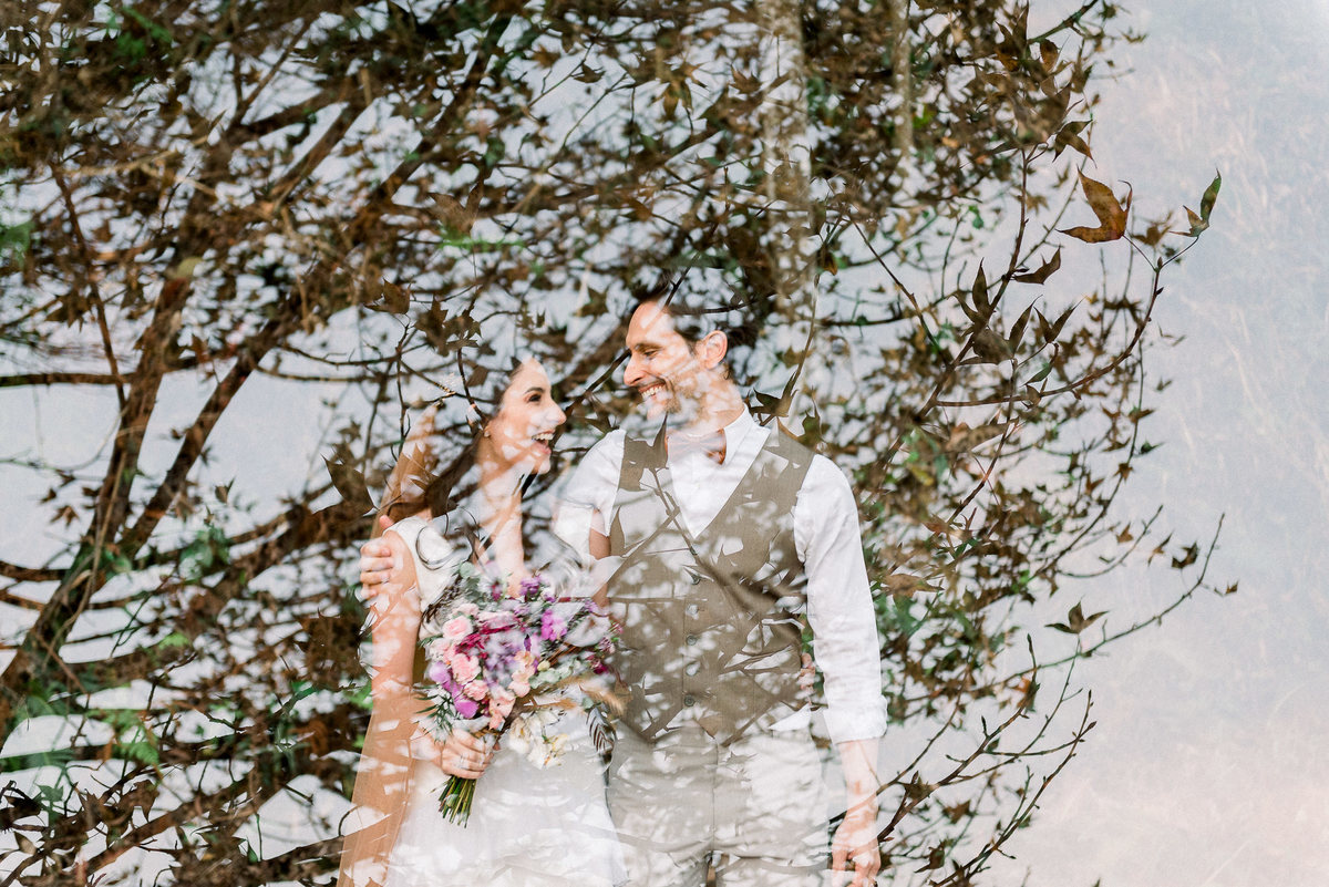 cama de gato fotografia