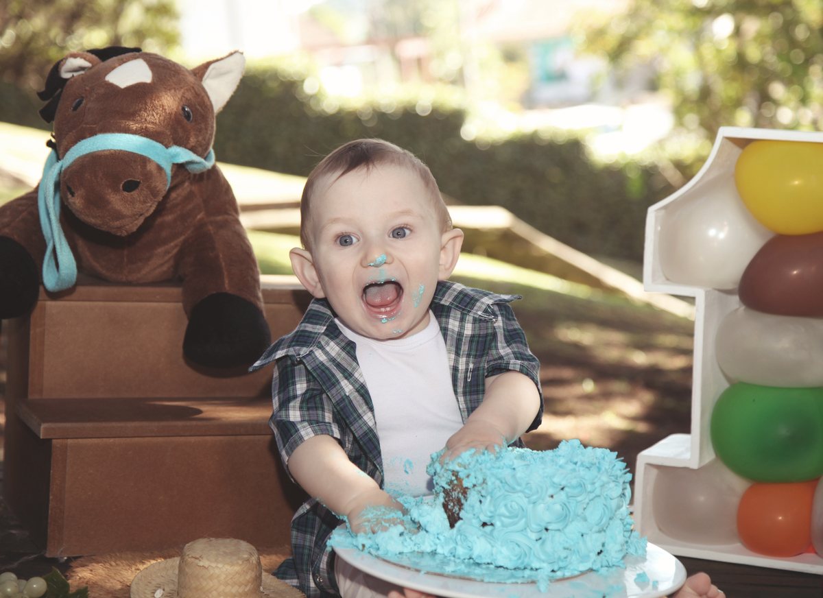 smash the cake fazendinha