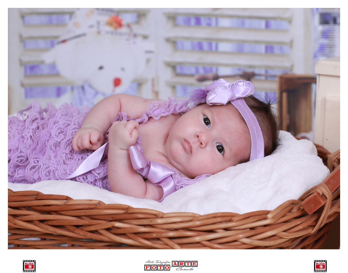 Acompanhamento Mensal