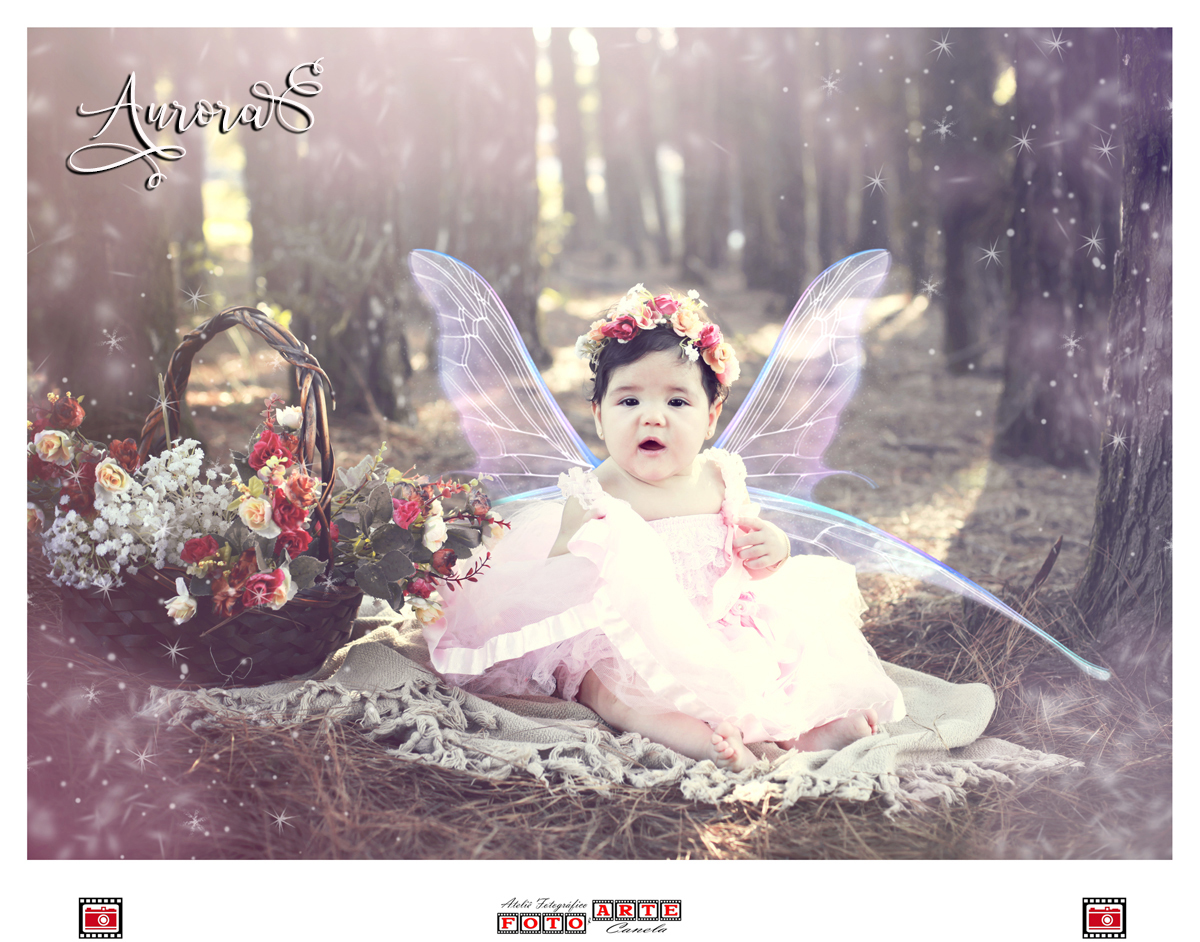 Princesa Encantada Aurora