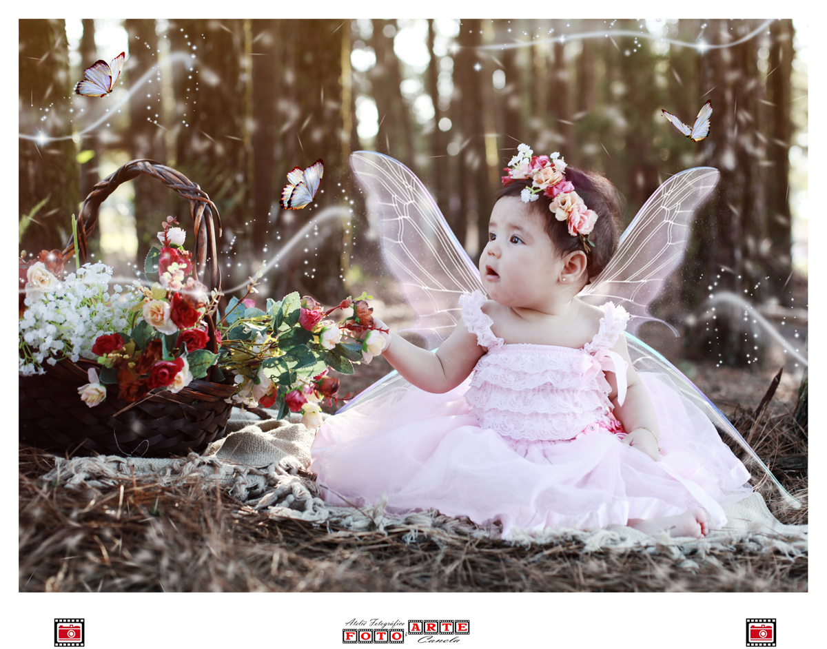 Princesa Encantada Aurora