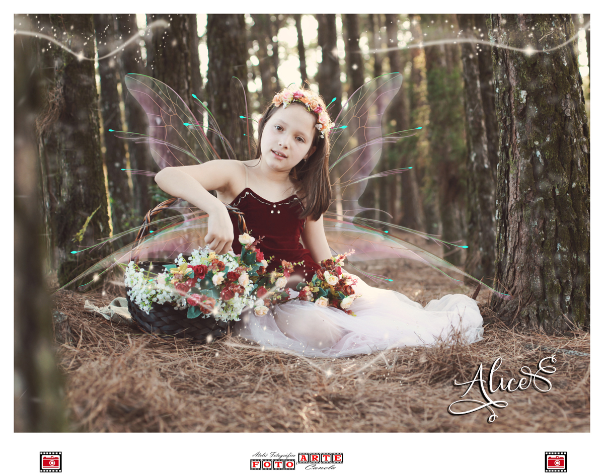 Princesa Encantada Alice e suas flores