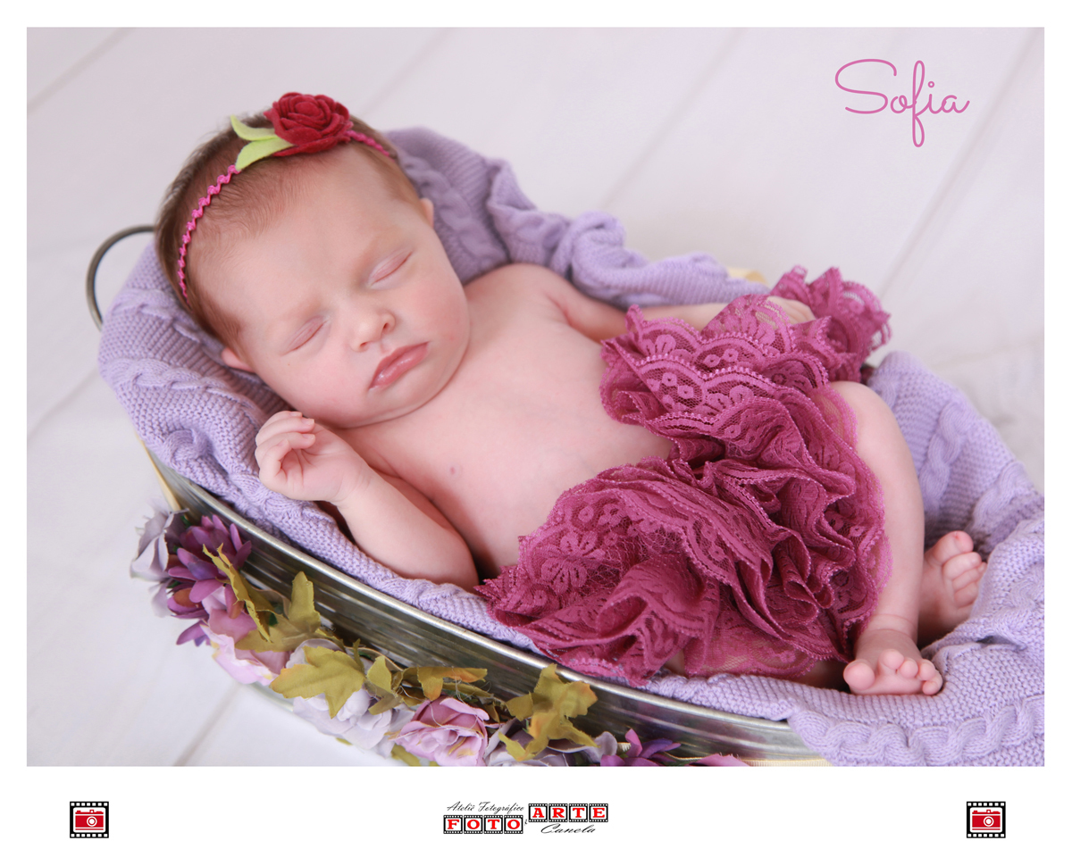 Ensaio fotográfico Recém nascidos