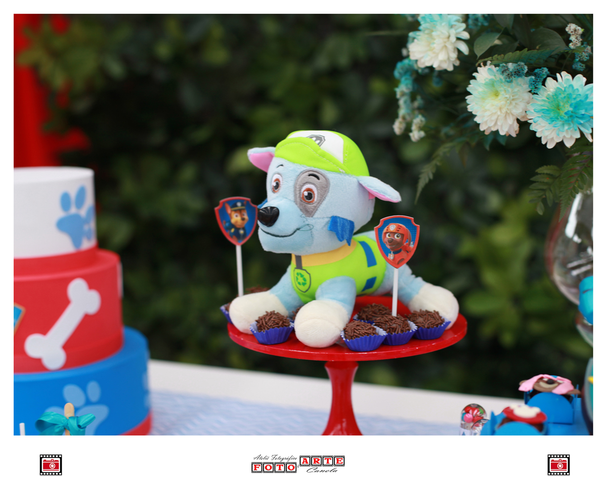 festa patrulha canina