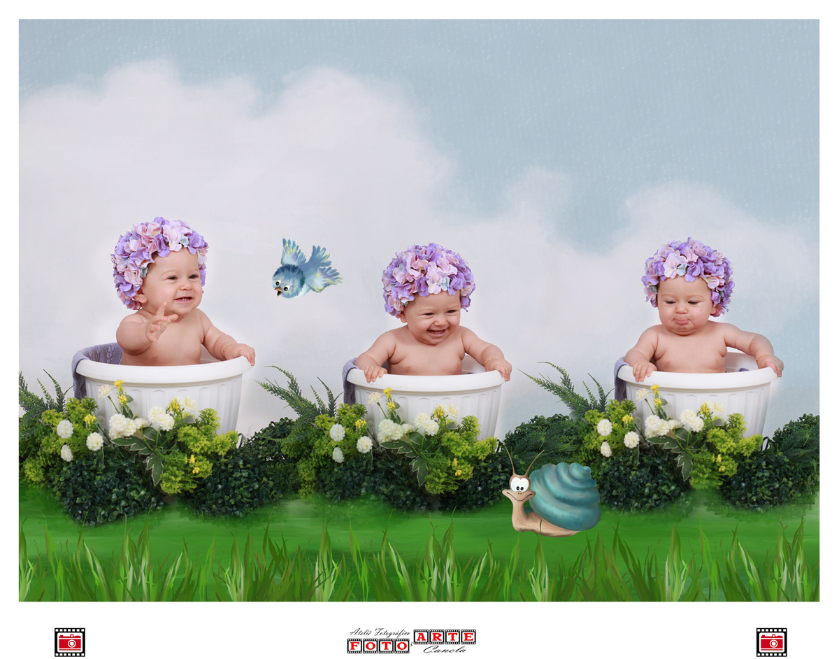 acompanhamento mensal