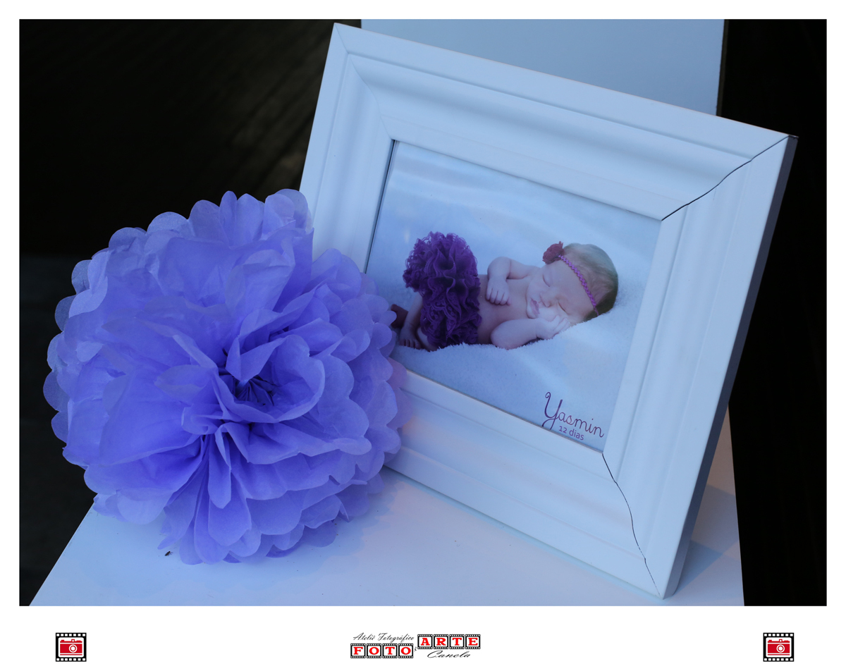 Quadro Decorativo Com Foto Do  Ensaio Newborn Da Aniversariante