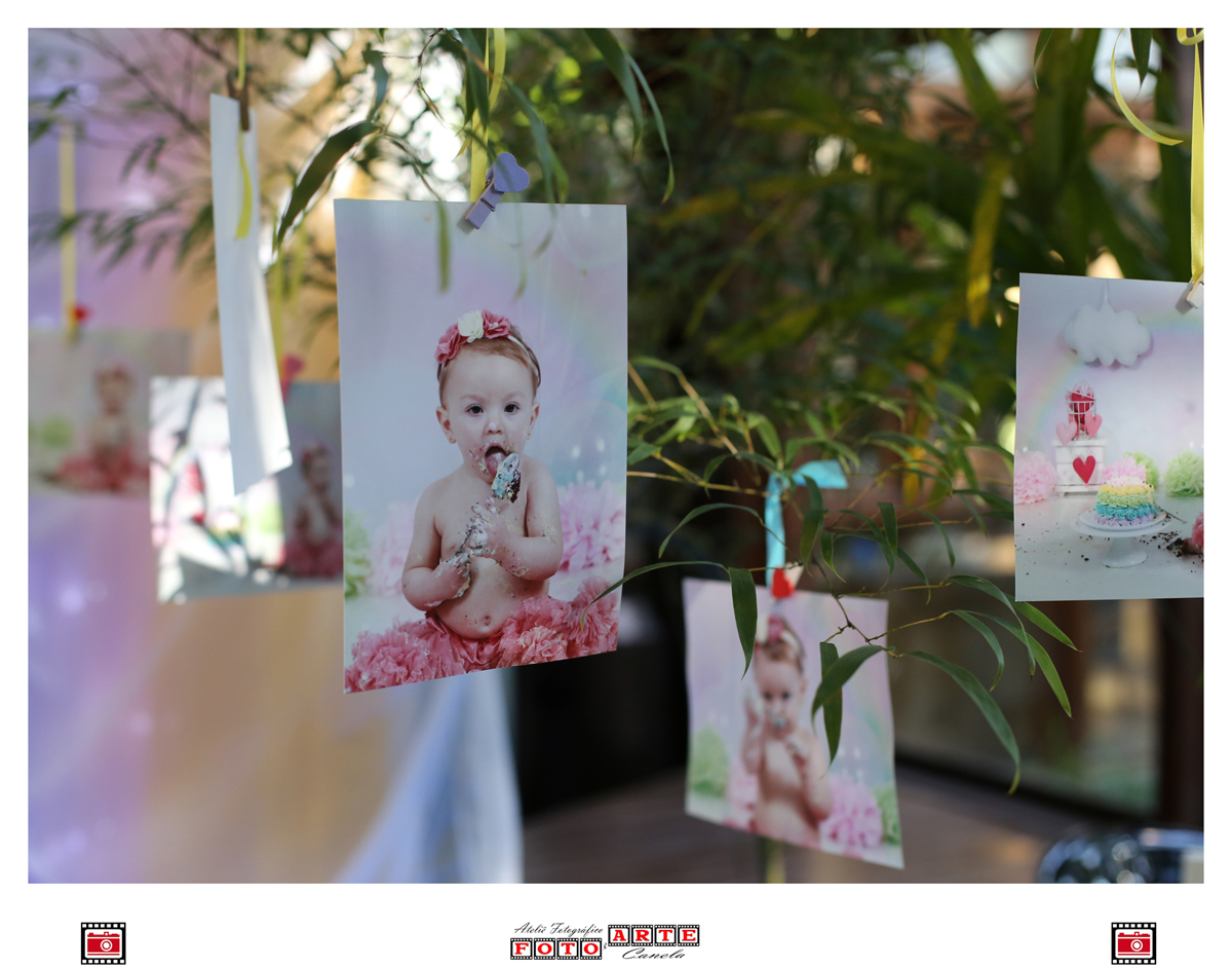 Detalhe Foto Pendurada Em Galho De Árvore