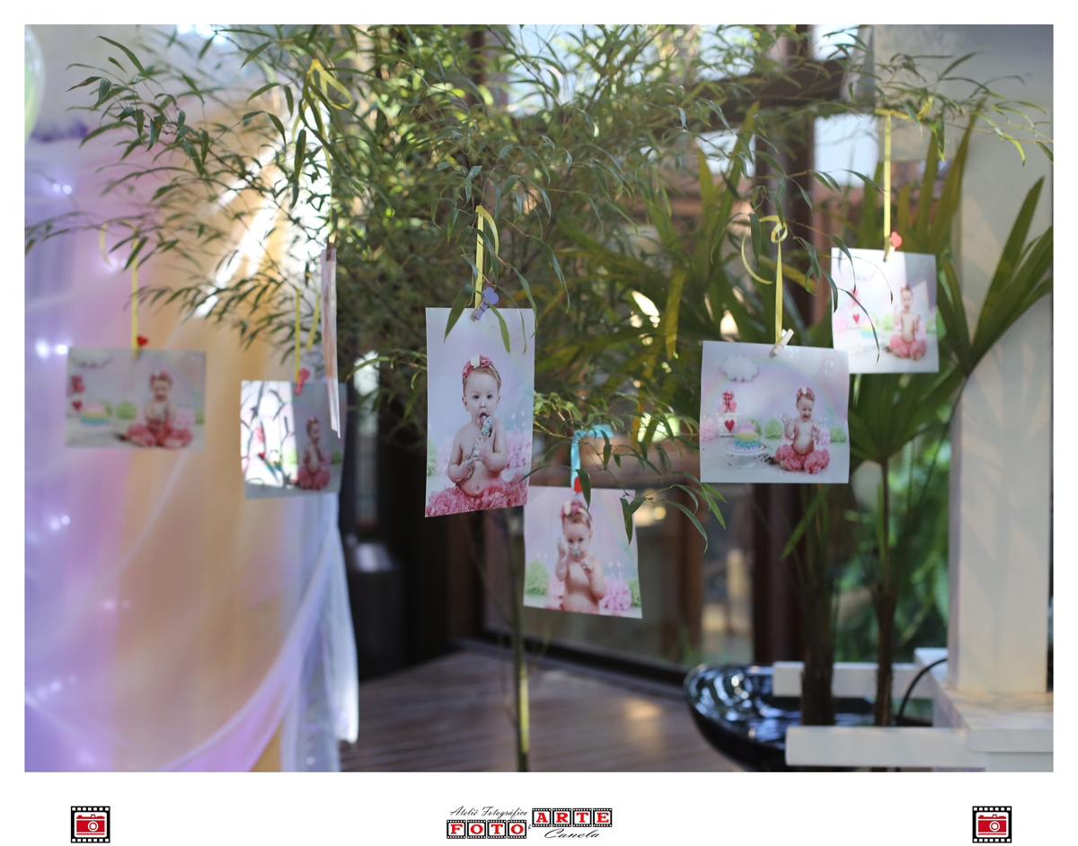 Fotos Penduradas Em Galhos De Árvore